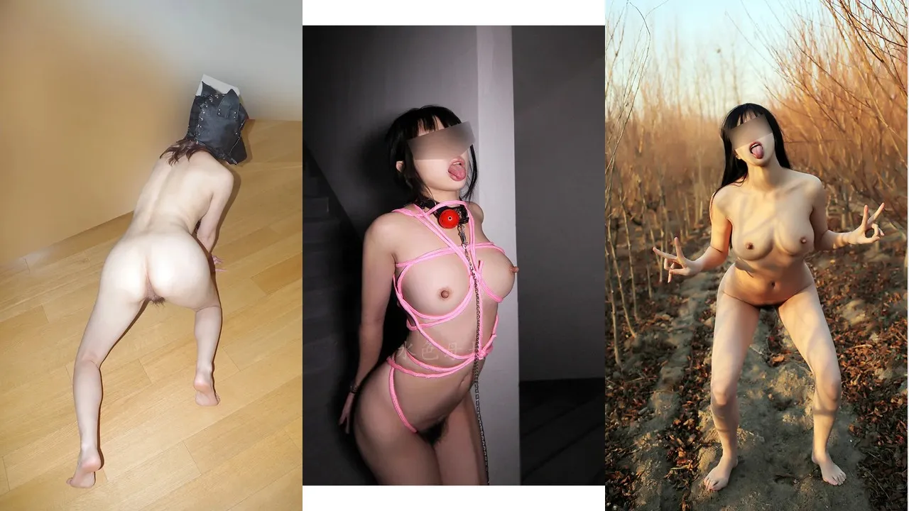 极品重度抖m@水色母犬 尺度私拍视图合集 [28V575P_131.94MB]